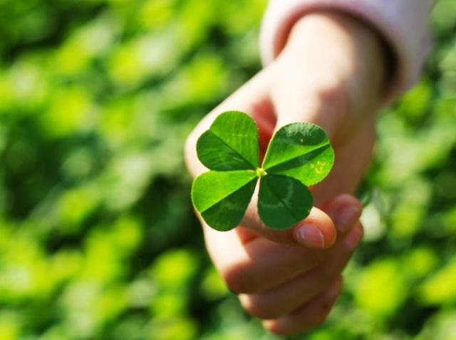 趣味测试：你最喜欢哪棵幸运草？测戴什么样的饰品能给你带来好运|饰品 