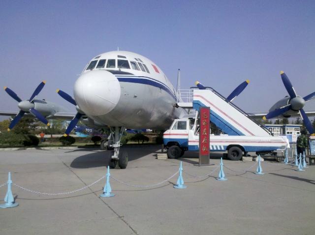 盘点人气很旺的景点,你去过上海动物园、北京