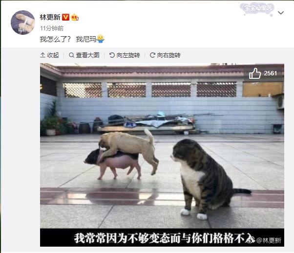 星伴|林更新发“不够变态与你们格格不入”表情包回应误解!