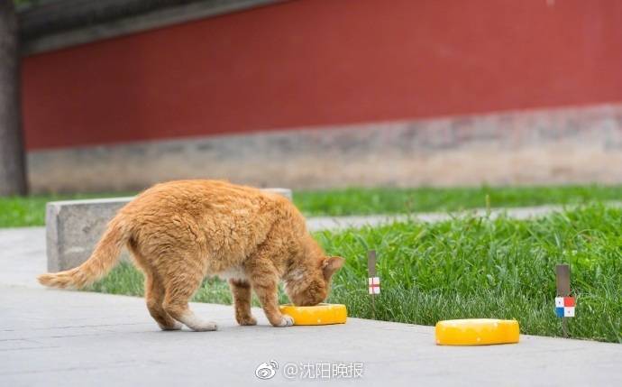 合肥四院《心理健康科普丛书》发布