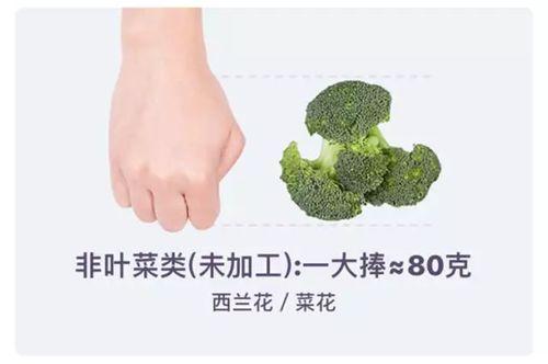 100g食物热量怎么算?教你用手直接估算