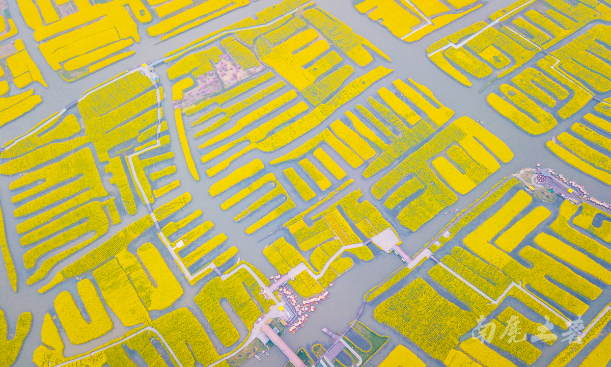 壮观，航拍全国最大的水上油菜花海