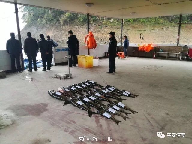 四部门：确保中小学生课间正常活动 减少近视发生