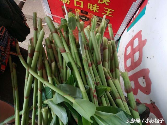 海南本土野菜,药用价值极高,但是许多人都不知道这道菜!