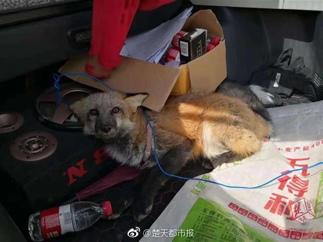 武汉正规供卵机构医院,怎么预防猩红热