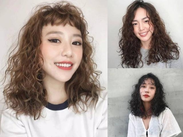 秋冬很流行的泰迪式蛋卷头款款都显脸小