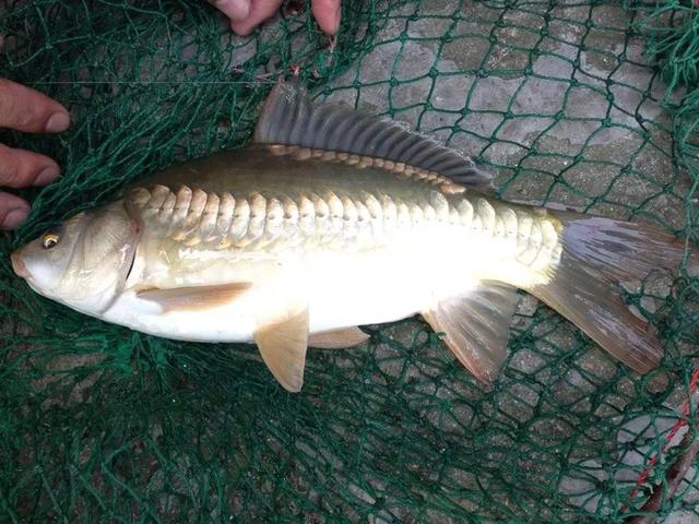 带你沉浸式体验每一场巅峰对决