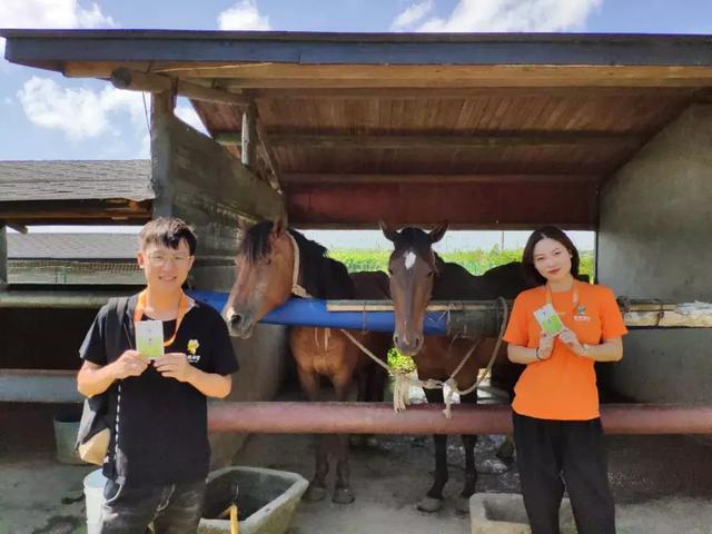 什么是中小学生研学旅行?8大特征带你看研学旅行!