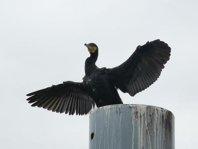 华为 P30 Pro 最大的相机武器:夜间模式 3D 镜