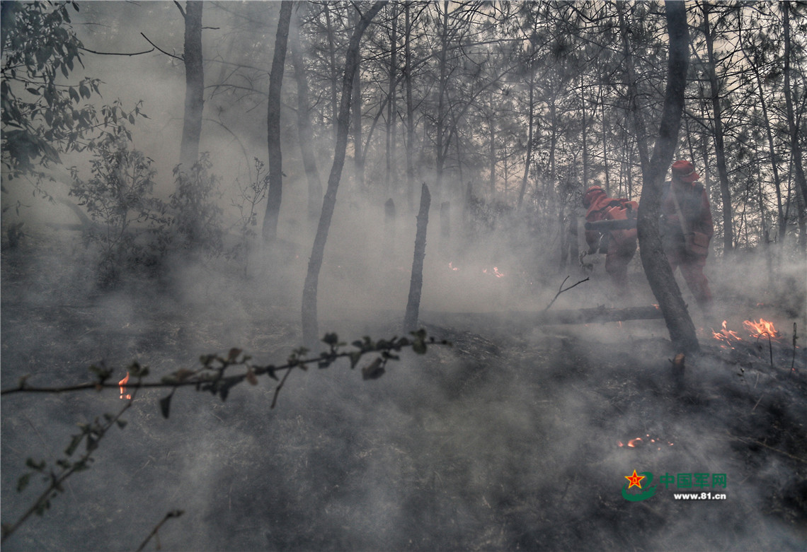 他们不爱艳阳爱雨天 原因让人泪目