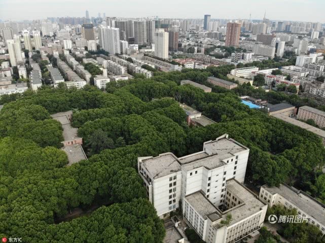 郑州女子疑因给外卖小哥差评遭报复 连续收骚