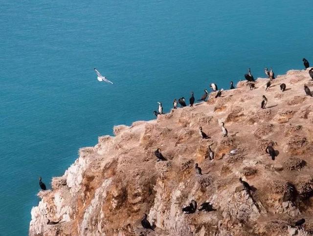 张掖丹霞又遭游客破坏,不文明的游客不配出去