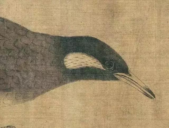 黄筌《写生珍禽图卷》，惟妙惟肖