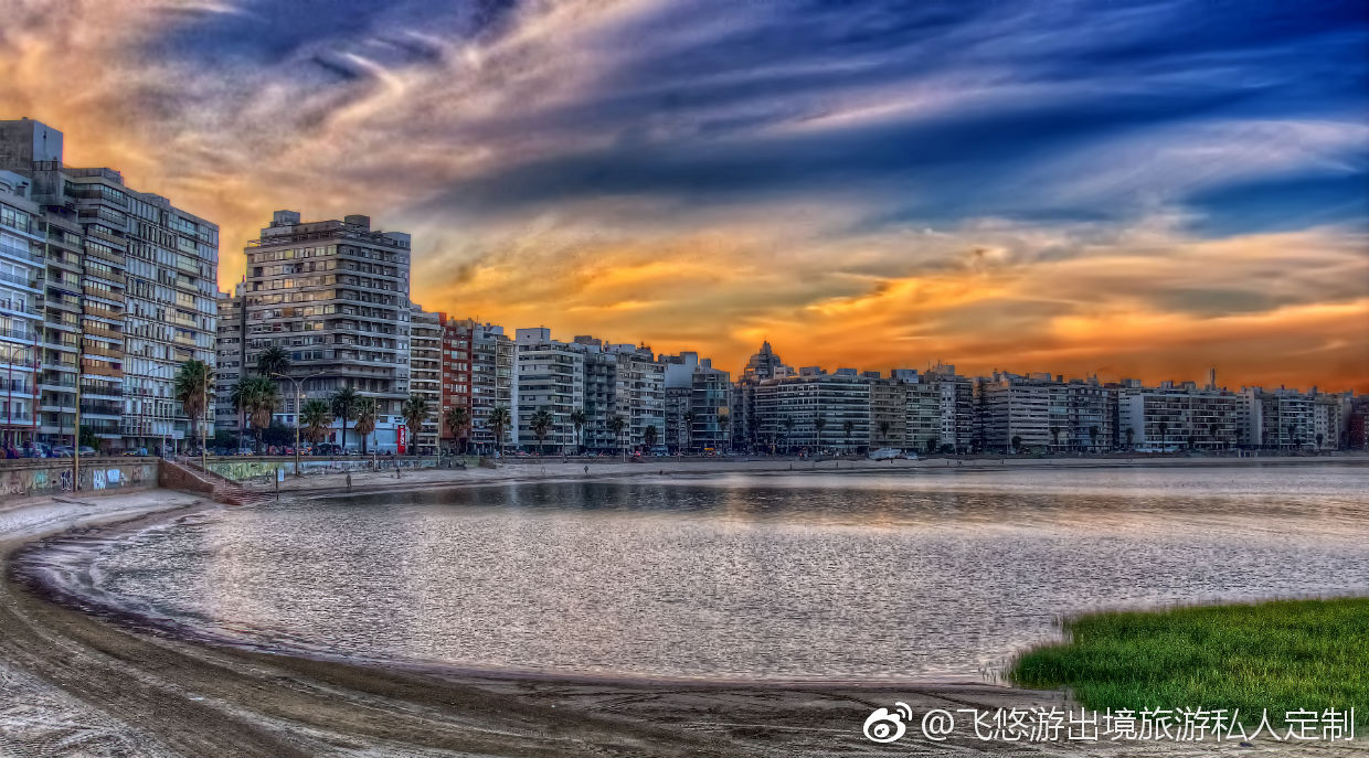 玫瑰爭(zhēng)妍的蒙得維的亞