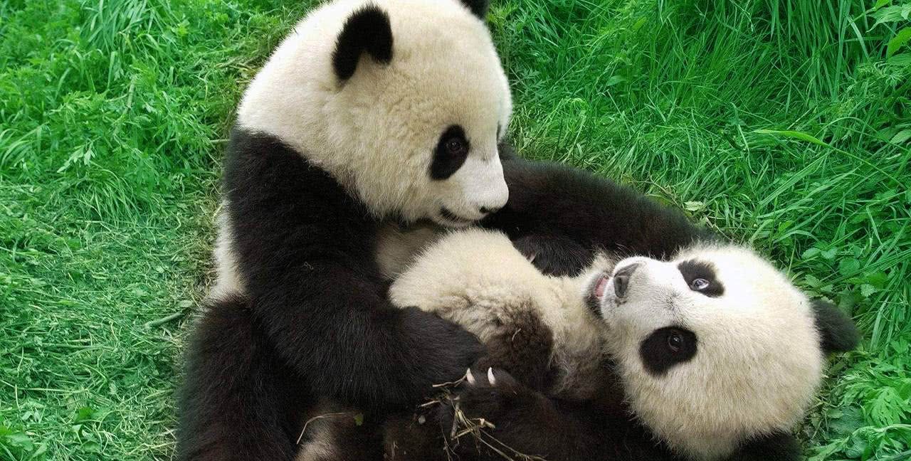 《山海经》中的上古凶兽,以铜铁为食,现在是闻