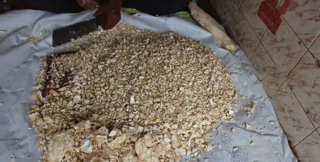 泰国旅行贪便宜买了个菠萝蜜，一不留神被砍成这样，这是喂猪吗