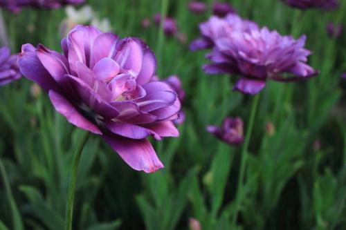 佛说:生在这三吉时的孩子,福气多,运气好,无灾无