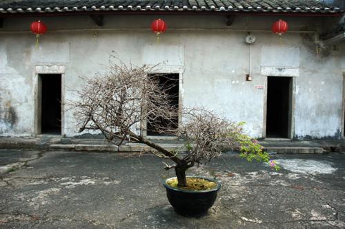 深圳客家之都,龙岗鹤湖新居!