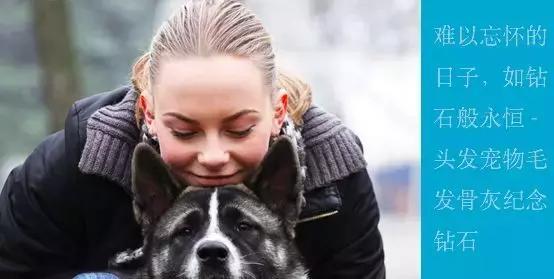 笔记 | 宠物善后行业的问题及行业机会