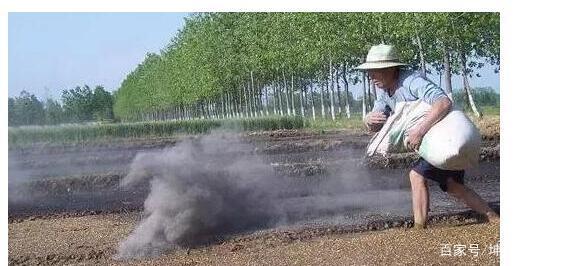 草木灰有什么好处？怎么使用？看完真的涨知识了！