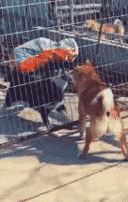 搞笑gif: 看妹子这表情, 你一顿揍是少不了