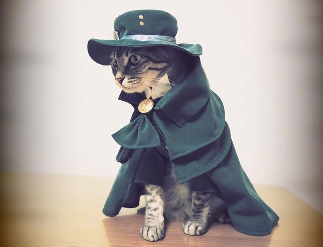 日本网友给自家猫穿上COS服，这些角色你认得全么？