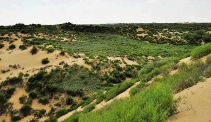 全球首个即将消失的沙漠,在中国的治理下,百分之八十已成绿洲