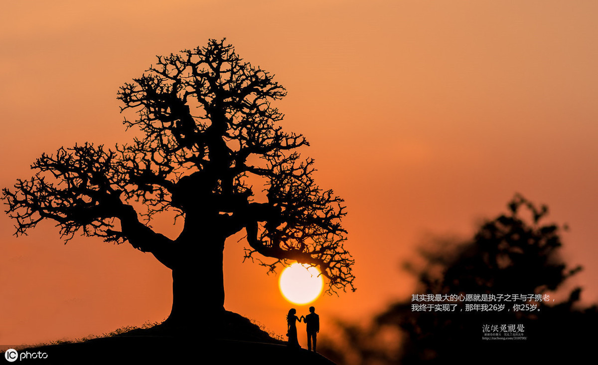 预知黑塔罗测试：你和Ta最终会不会结婚？