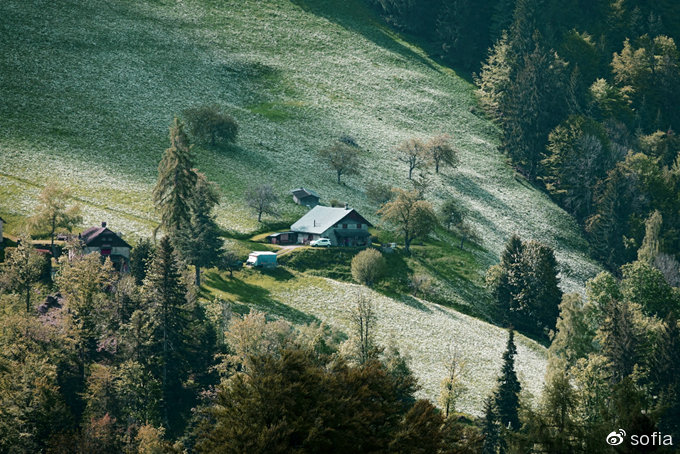 日内瓦湖畔五月“香雪”，瑞士最浪漫的景观