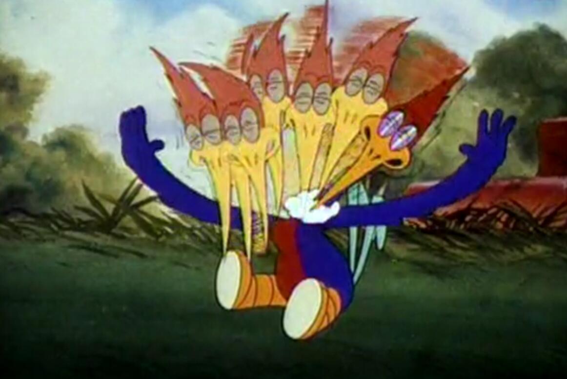 美国动画片啄木鸟伍迪 - 哔哩哔哩