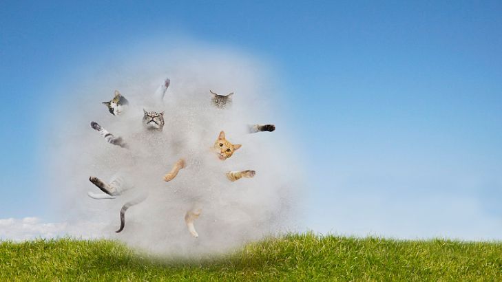 中美贸易战美国拉拢欧盟、日本对中国形成包围