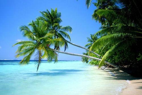 海南鼓励四种类型总部企业落户 房地产开发企