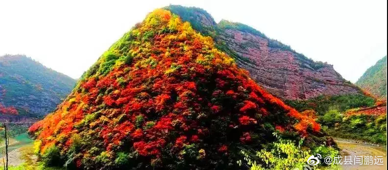 藏不住了，隴南“全線飄紅”