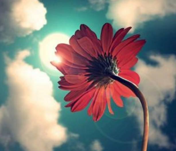 压力与动力成正比的星座