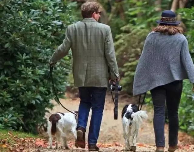 【芬兰】是全国上下爱狗的国家！