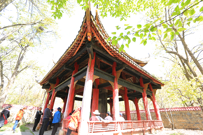 四川阿坝,不负金川三月梨花好春光