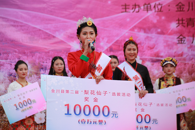 四川阿坝,不负金川三月梨花好春光