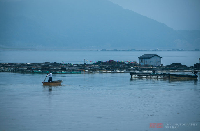 暑假旅游旺季遇到禁渔期,海鲜怎么吃有讲究