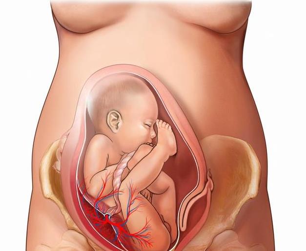 胎儿在肚子里也会难受吗?3点常识,孕妈必须得了解!
