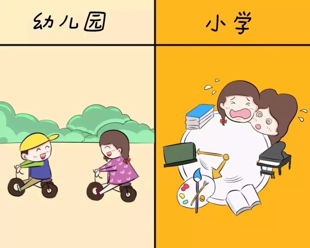 幼儿园和小学有哪些差别