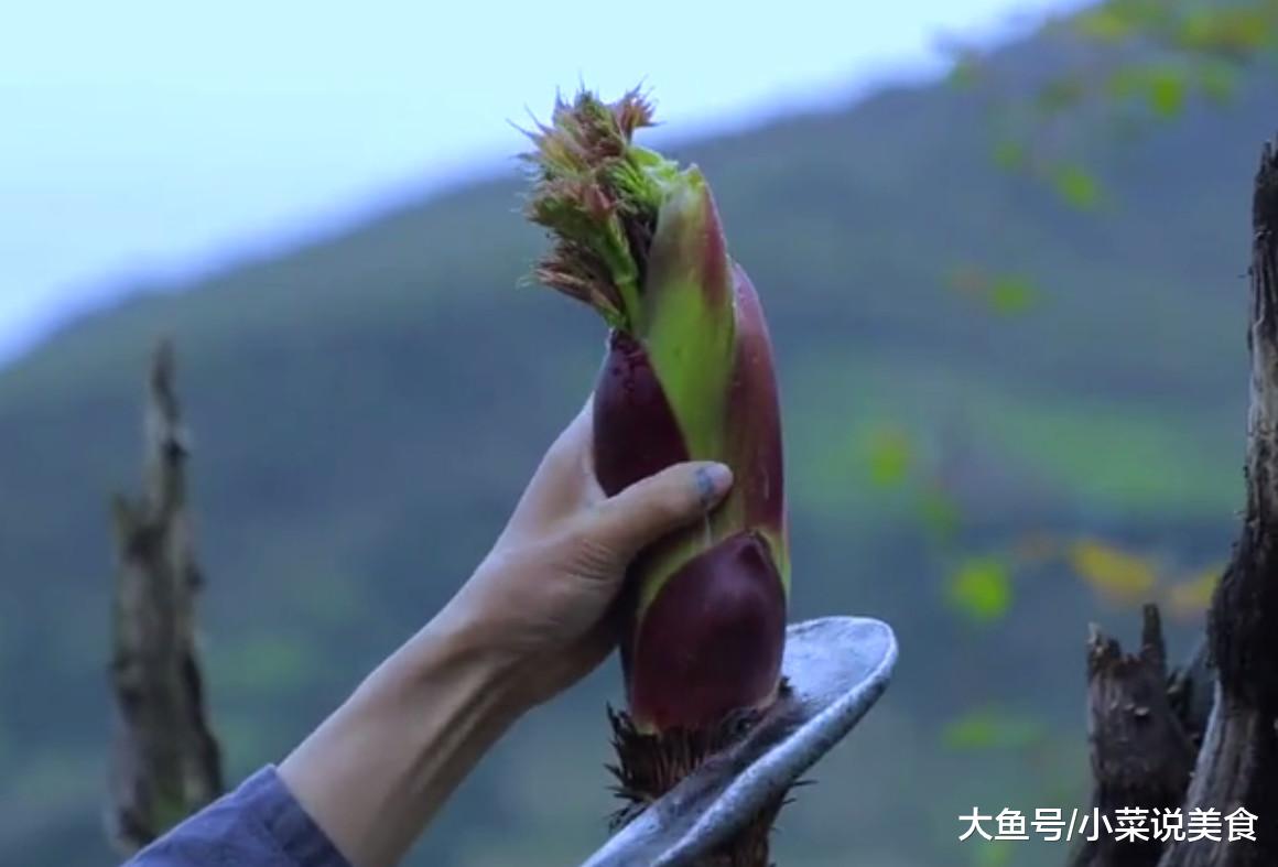 农村姑娘山顶摘野菜,拿来和腊肉一起炒太美味,城里人都吃不到!