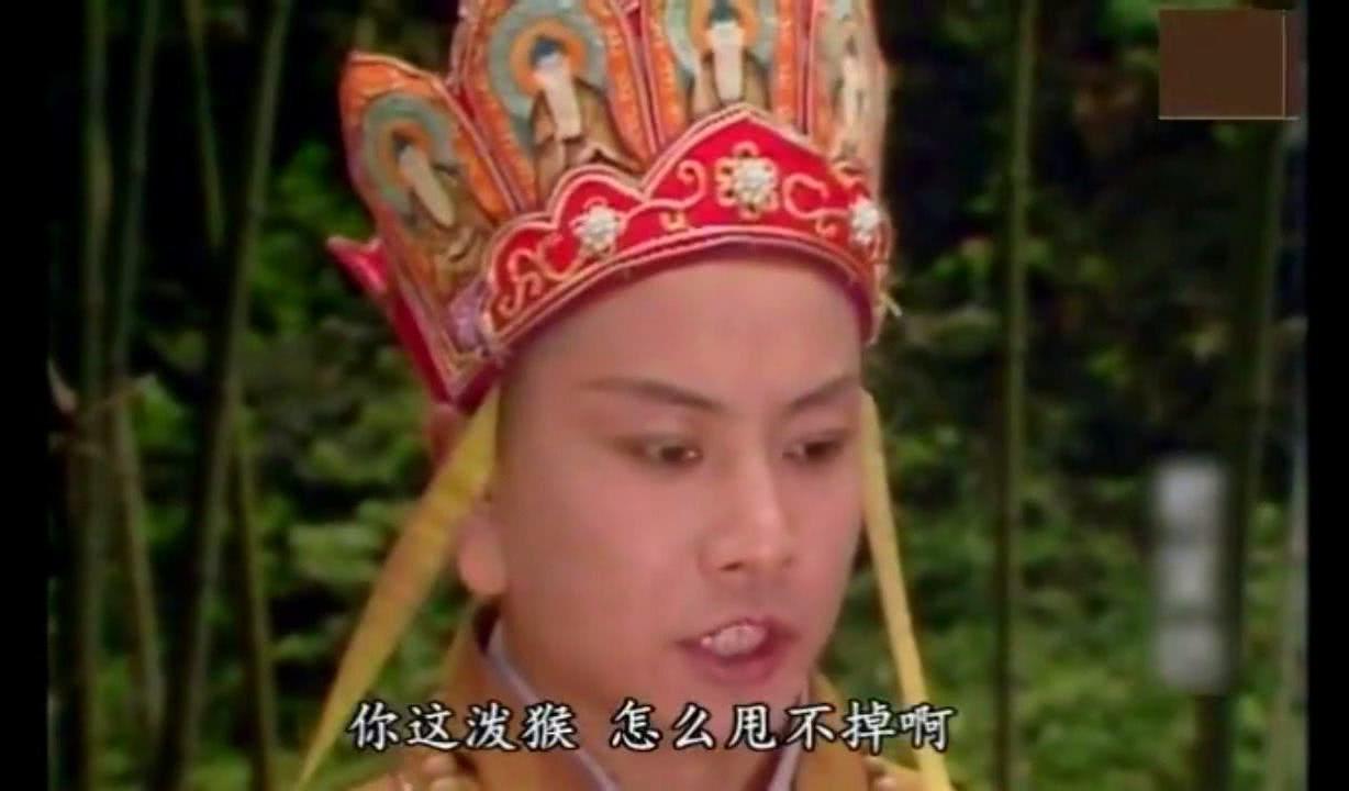 真假美猴王后 唐僧为何在没念过紧箍咒 观音说的这句话才是关键