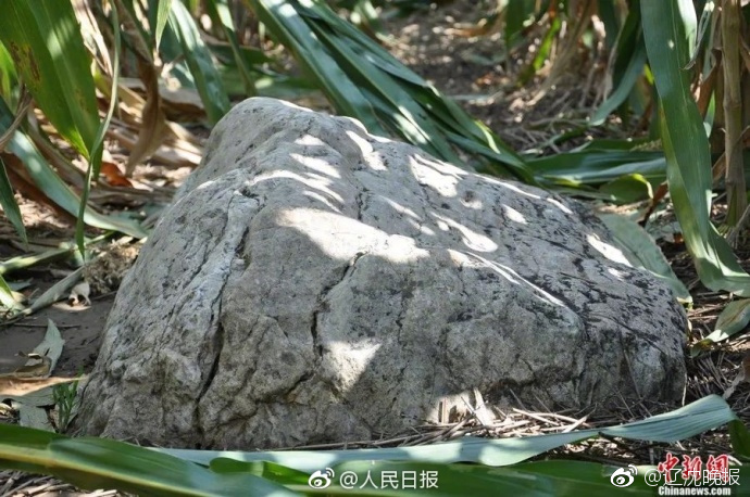 羽毛球世锦赛：陆光祖无缘八强