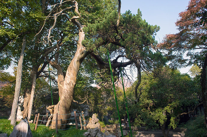 隐藏在<a href='http://travel.sina.com.cn/taizhou_taixingrenmingongyuan-lvyou/?from=b-keyword' target='_blank'>泰州</a>繁华闹市的私宅大院,连梅兰芳都曾来住过!