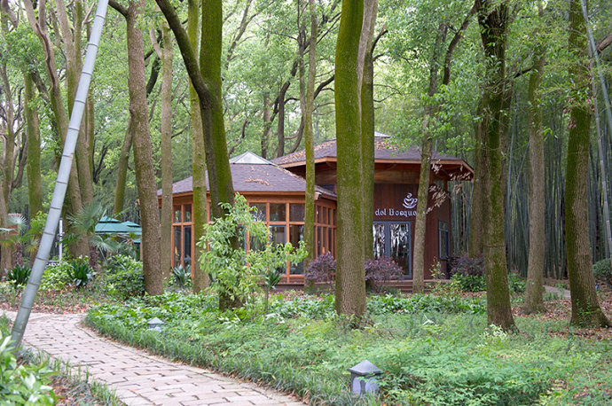 #美在春天#<a href='http://travel.sina.com.cn/jiangsu-lvyou/?from=b-keyword' target='_blank'><em>江苏</em></a>最美的湿地公园,环境清幽游客极少
