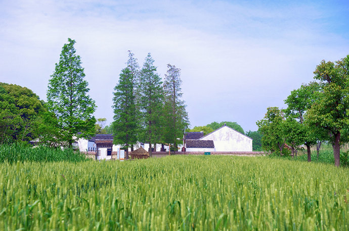 #美在春天#<a href='http://travel.sina.com.cn/jiangsu-lvyou/?from=b-keyword' target='_blank'><em>江苏</em></a>最美的湿地公园,环境清幽游客极少