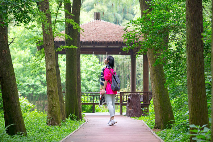 #美在春天#<a href='http://travel.sina.com.cn/jiangsu-lvyou/?from=b-keyword' target='_blank'><em>江苏</em></a>最美的湿地公园,环境清幽游客极少