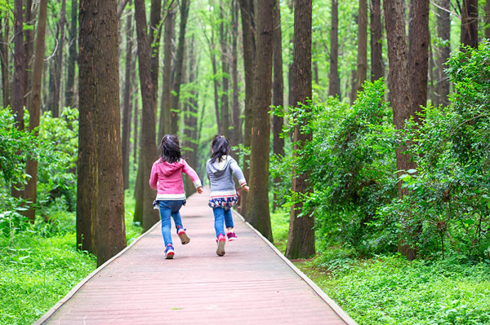 #美在春天#<a href='http://travel.sina.com.cn/jiangsu-lvyou/?from=b-keyword' target='_blank'><em><em>江苏</em></em></a>最美的湿地公园,环境清幽游客极少