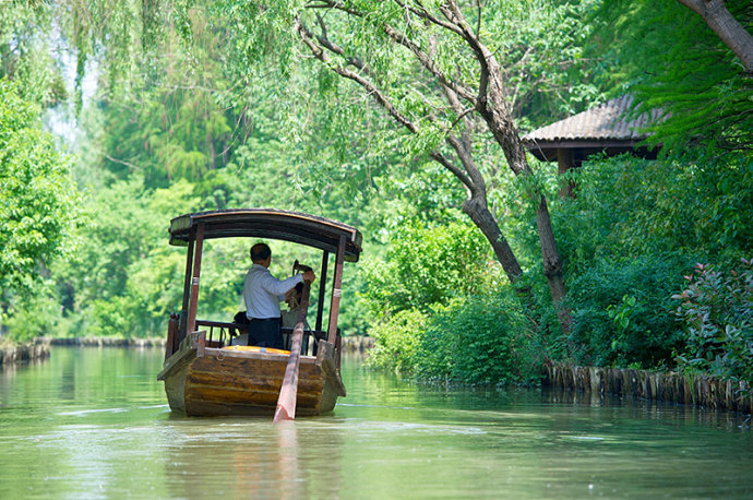 #美在春天#<a href='http://travel.sina.com.cn/jiangsu-lvyou/?from=b-keyword' target='_blank'><em><em>江苏</em></em></a>最美的湿地公园,环境清幽游客极少