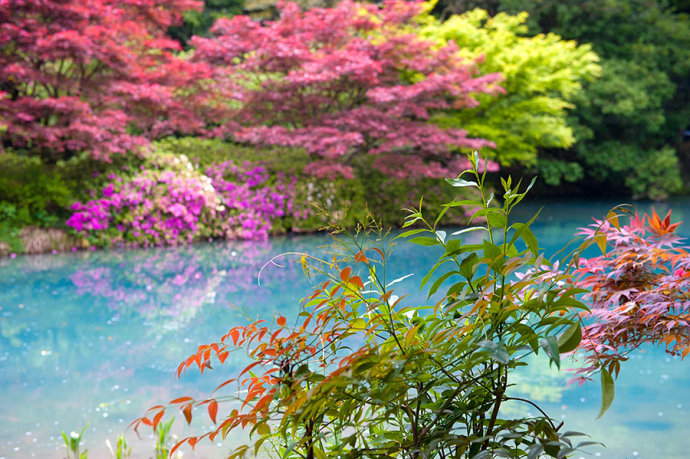 <a href='http://www.fwkvn.com.cn/hangzhou-lvyou/?from=b-keyword' target='_blank'><em>杭州</em></a>有个江南小九寨,阳春三月竟如深秋般绚烂